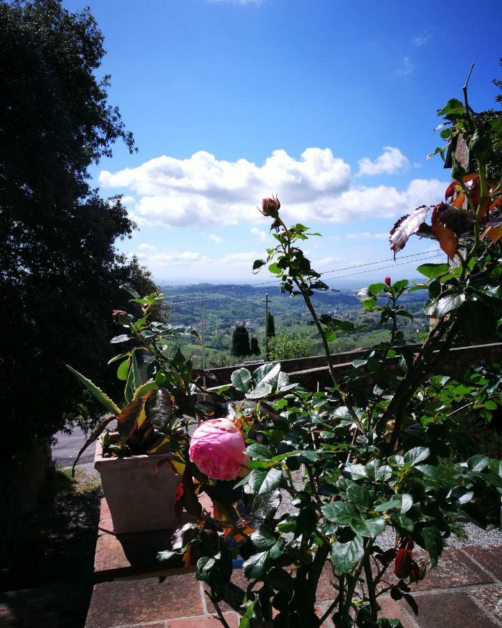 Villa Basilica Palazzo Boccella旅馆 外观 照片