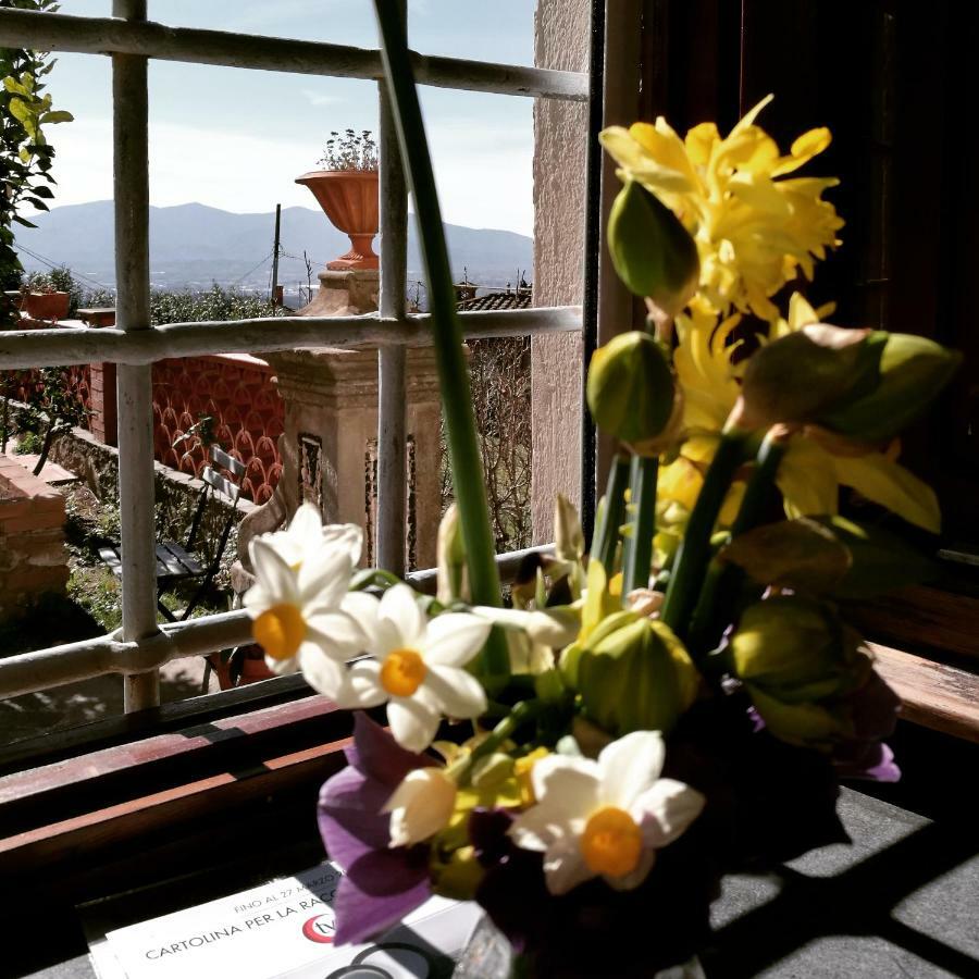 Villa Basilica Palazzo Boccella旅馆 外观 照片
